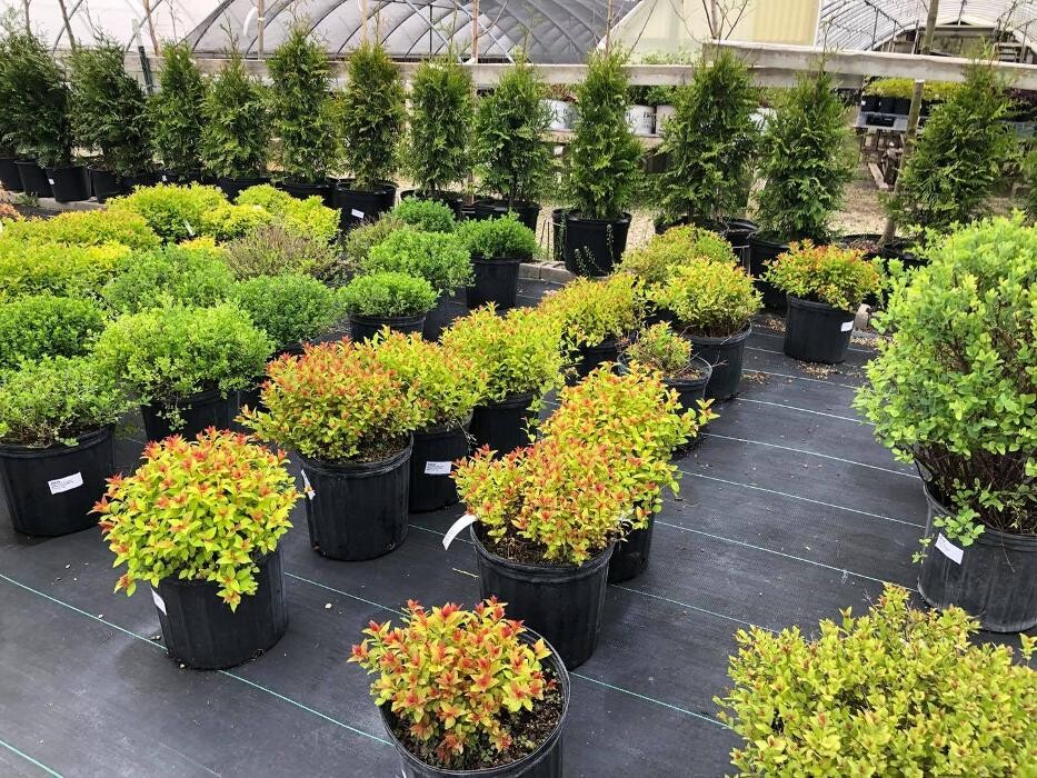 Images Whitetail Acres Nursery, Landscaping, and Reindeer Farm