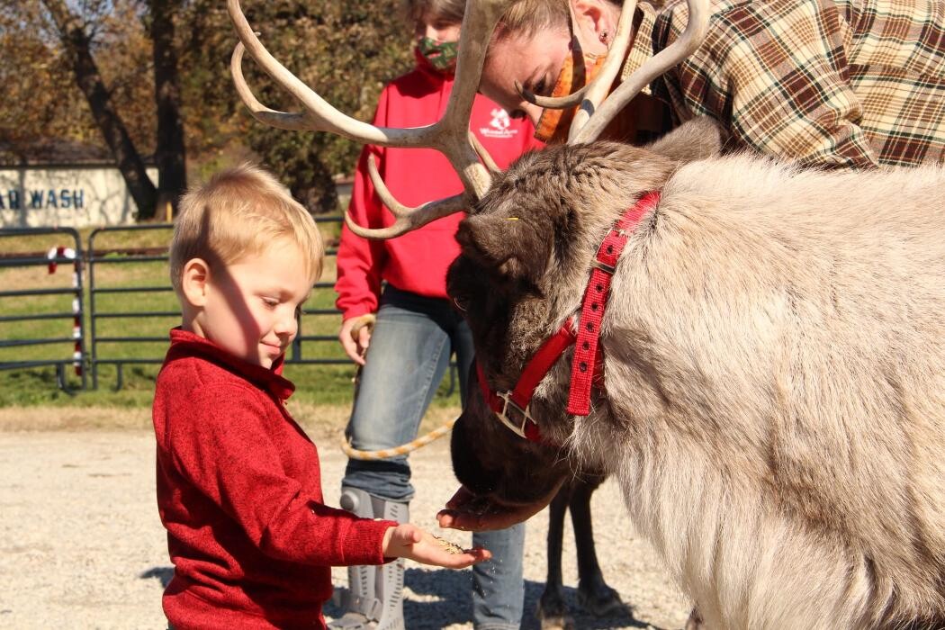 Images Whitetail Acres Nursery, Landscaping, and Reindeer Farm