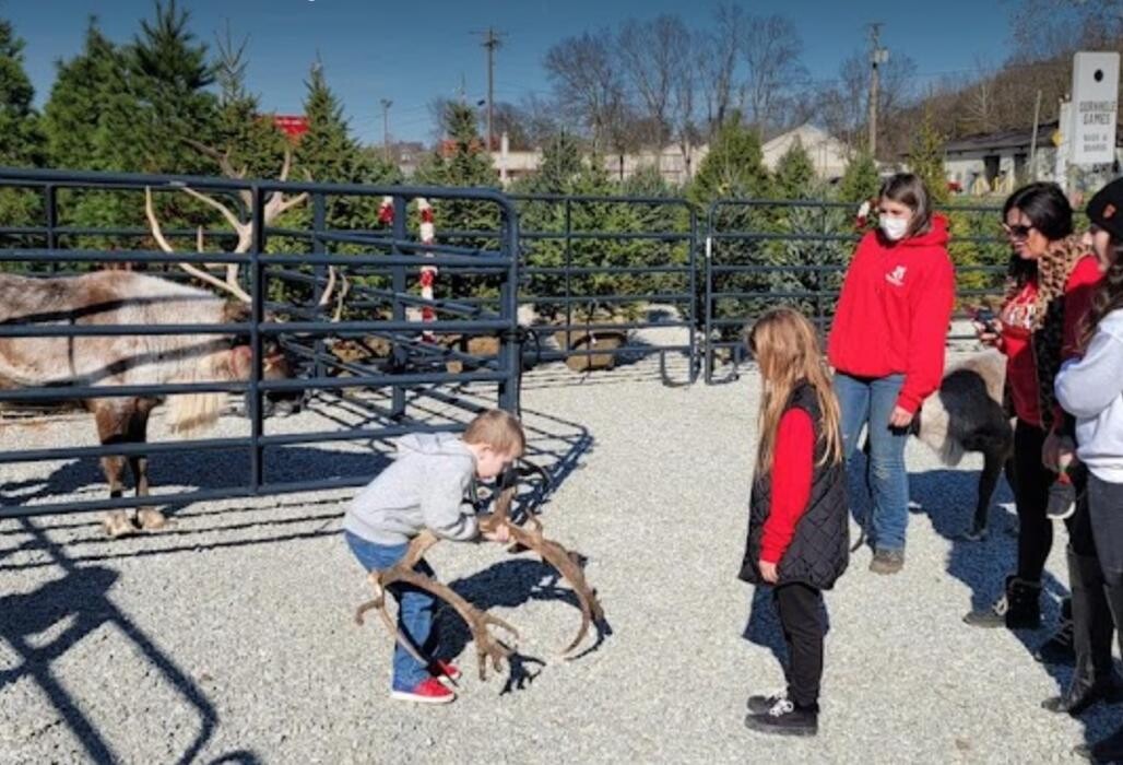 Images Whitetail Acres Nursery, Landscaping, and Reindeer Farm