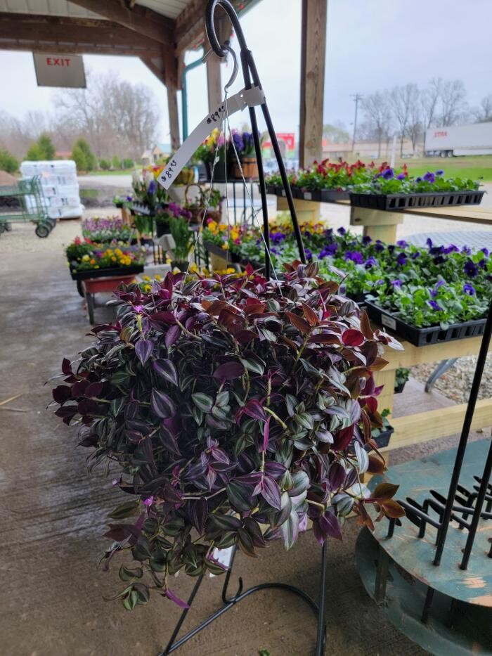 Images Whitetail Acres Nursery, Landscaping, and Reindeer Farm