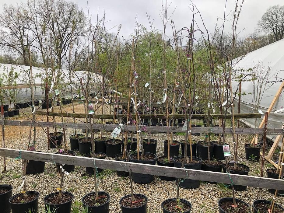 Images Whitetail Acres Nursery, Landscaping, and Reindeer Farm