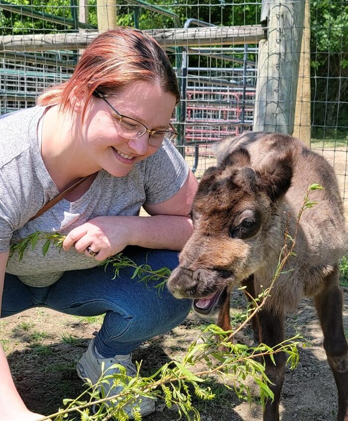 Images Whitetail Acres Nursery, Landscaping, and Reindeer Farm