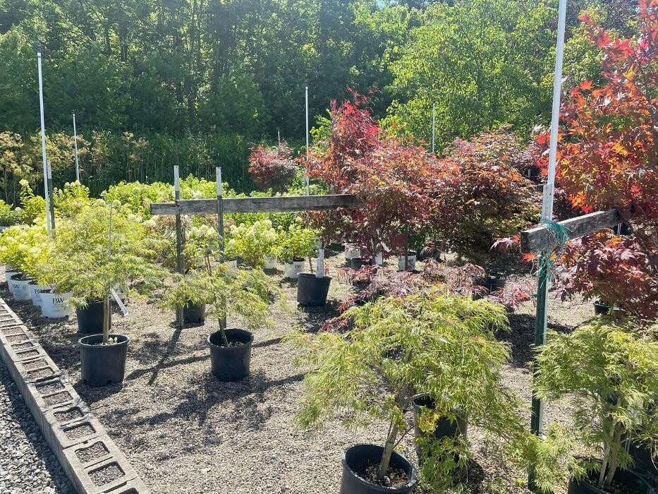 Images Whitetail Acres Nursery, Landscaping, and Reindeer Farm