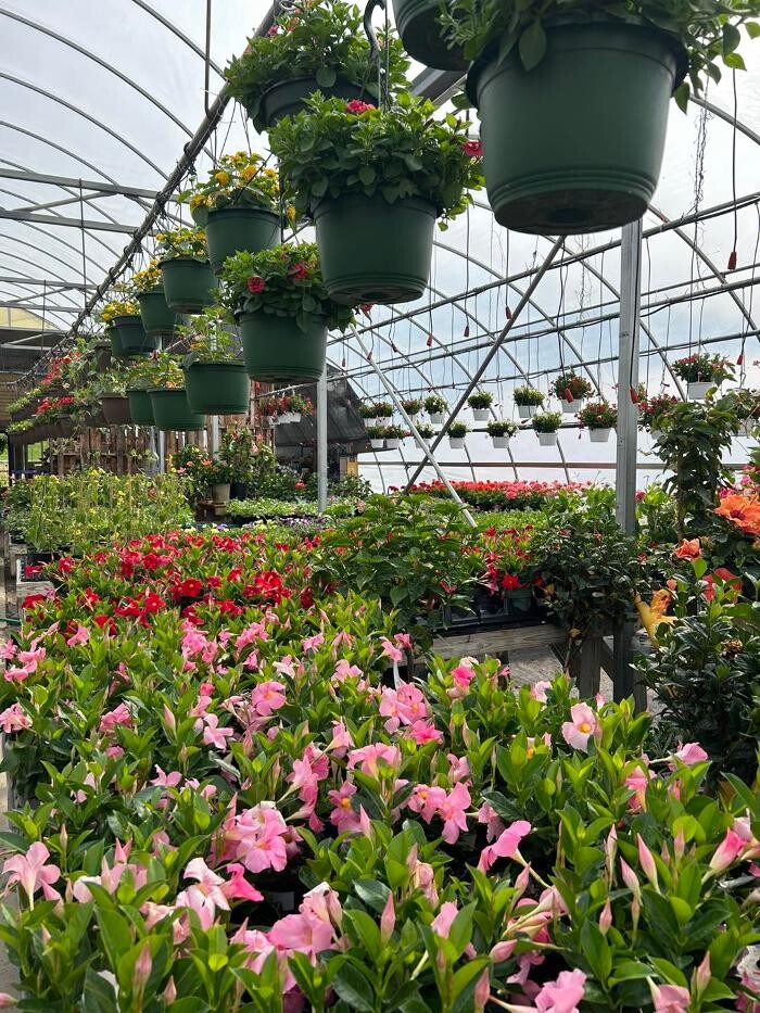 Images Whitetail Acres Nursery, Landscaping, and Reindeer Farm