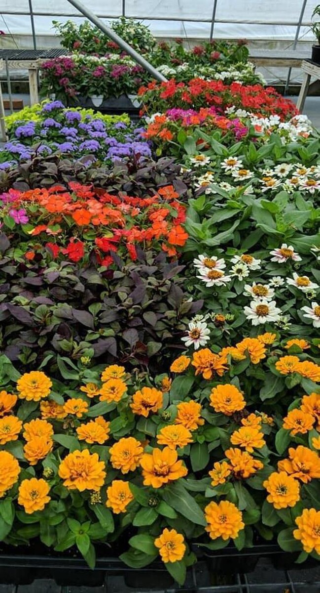 Images Whitetail Acres Nursery, Landscaping, and Reindeer Farm