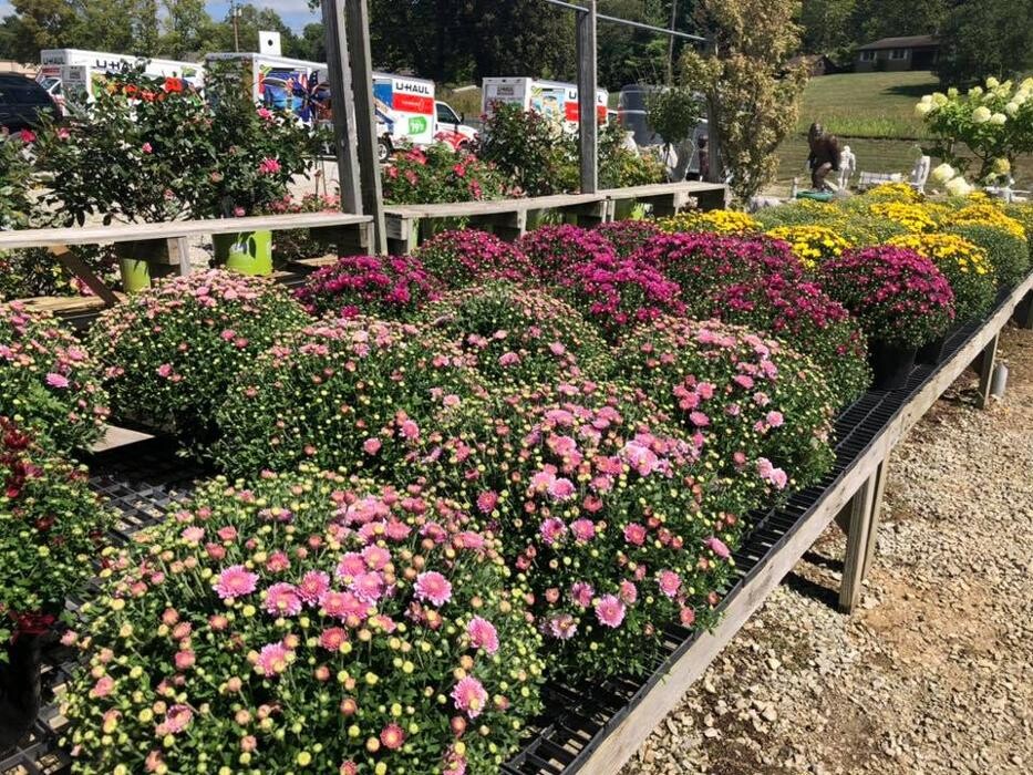 Images Whitetail Acres Nursery, Landscaping, and Reindeer Farm