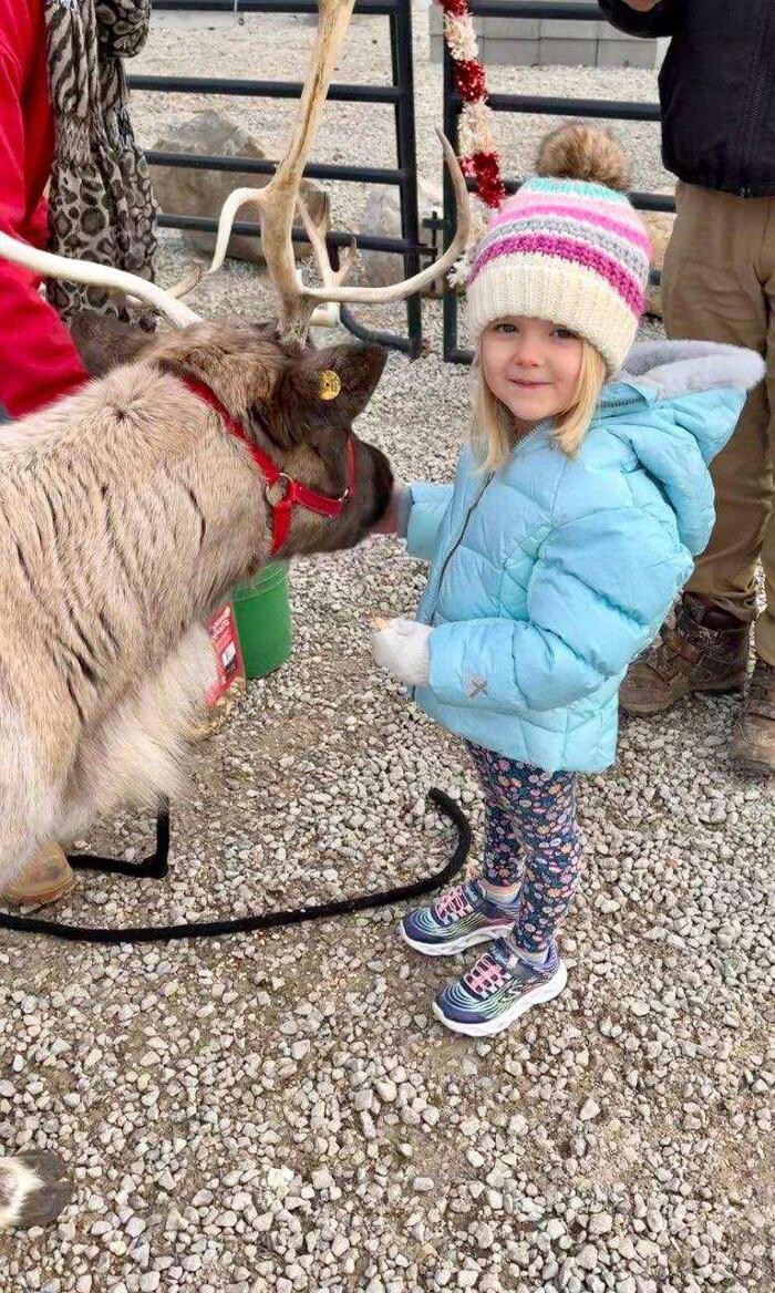 Images Whitetail Acres Nursery, Landscaping, and Reindeer Farm