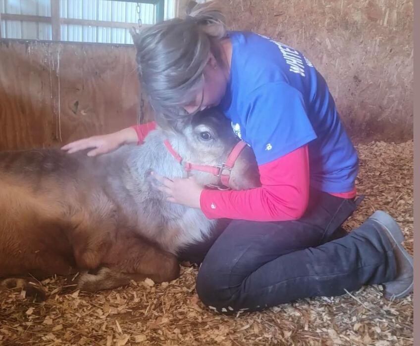 Images Whitetail Acres Nursery, Landscaping, and Reindeer Farm