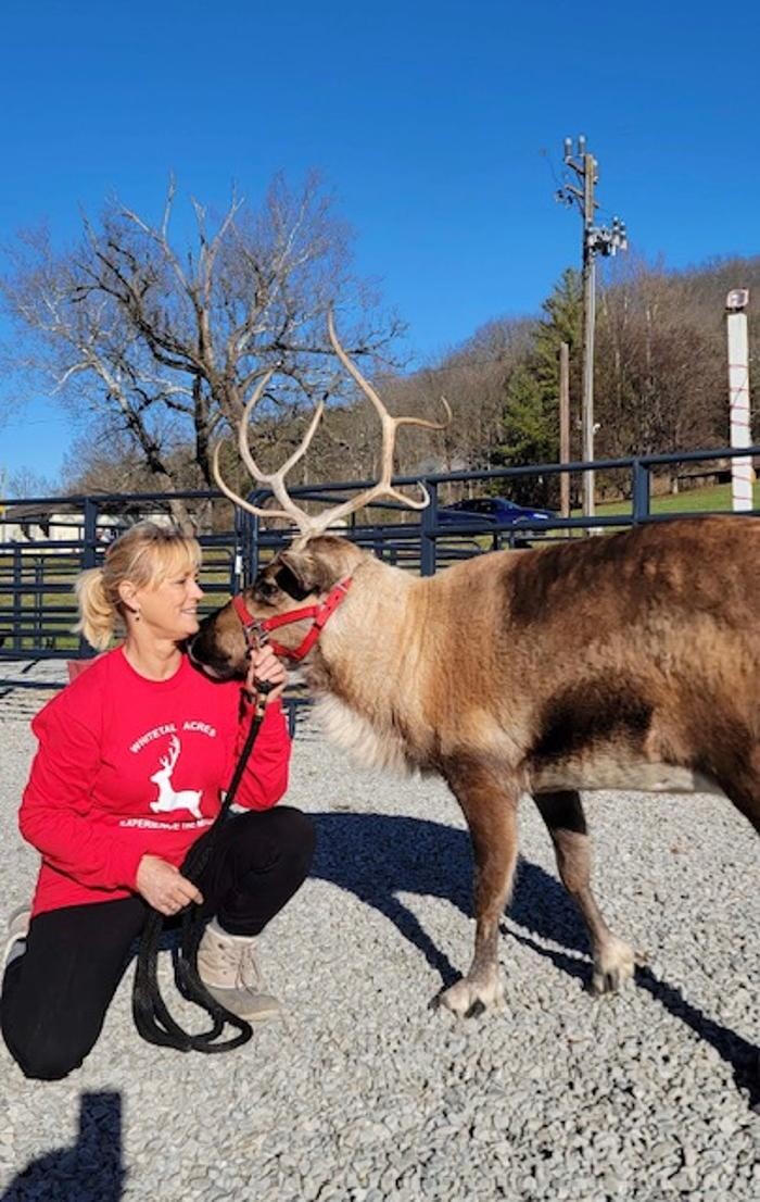 Images Whitetail Acres Nursery, Landscaping, and Reindeer Farm