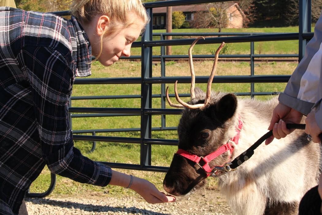 Images Whitetail Acres Nursery, Landscaping, and Reindeer Farm