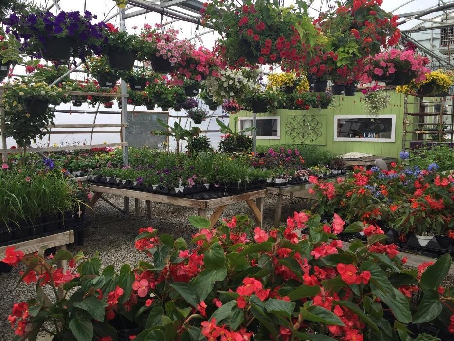 Images Whitetail Acres Nursery, Landscaping, and Reindeer Farm