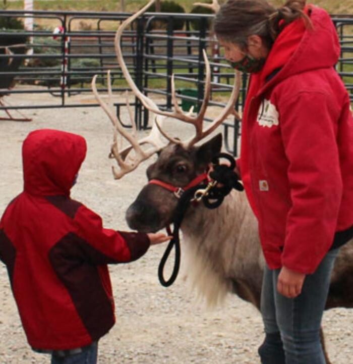 Images Whitetail Acres Nursery, Landscaping, and Reindeer Farm