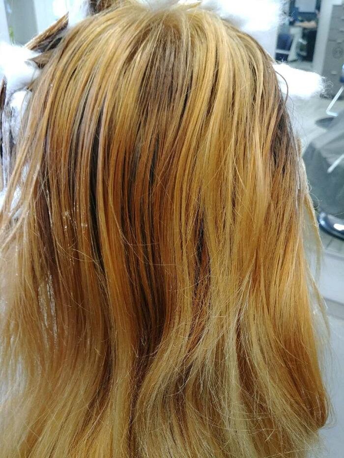 Images Fantastic Sams Cut & Color