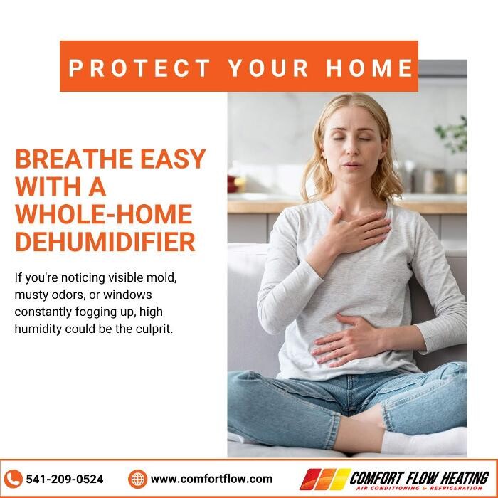 Images Comfort Flow Heating