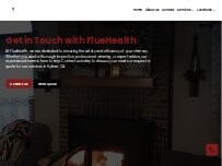 Website Screenshot FlueHealth
