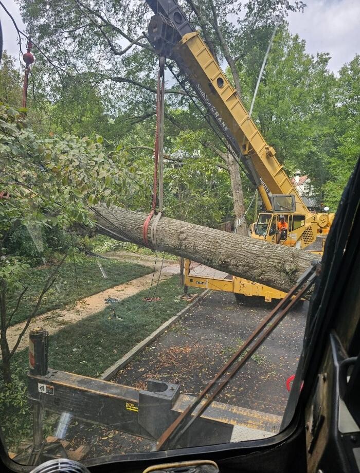 Images American Crane Services