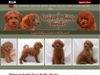 Website Screenshot Scarlet's Fancy Poodles