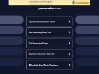 Website Screenshot Pure Auto Wash & Spa