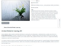 Website Screenshot Alcohol Rehab Lansing