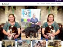 Website Screenshot Ann's Quality Grooming & Boarding