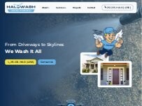 Website Screenshot Halo Wash LLC