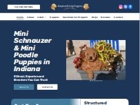 Website Screenshot Maumee Bridge Puppies