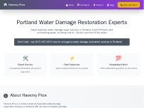 Website Screenshot Havenry Pros