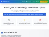 Website Screenshot RiseSmart Pros