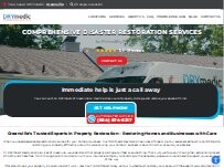 Website Screenshot DRYmedic Restoration Services of Greenville