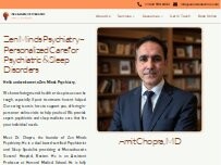 Website Screenshot Zen Minds Psychiatry