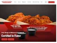 Website Screenshot Wingbay