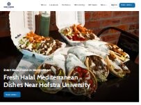 Website Screenshot Hamza & Madina Halal Food