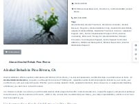Website Screenshot Alcohol Rehab Pico Rivera