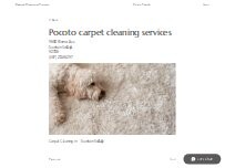 Website Screenshot Pocoto carpet cleaning services