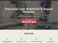 Website Screenshot Harrison Leak Detection & Repair Plumber