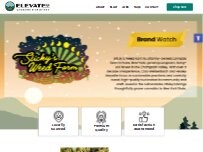 Website Screenshot Elevate ADK