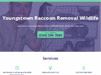 Website Screenshot Youngstown Raccoon Removal Wildlife