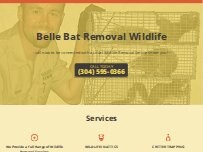 Website Screenshot Belle Bat Removal Wildlife