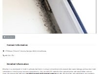 Website Screenshot Mold Remediation Atlanta