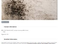 Website Screenshot Mold Removal Lexington