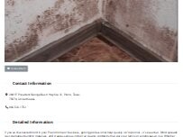 Website Screenshot Plano Mold Remediation
