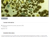 Website Screenshot Lancaster Mold Remediation
