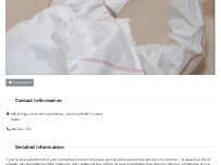 Website Screenshot Mold Removal Santa Rosa