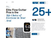 Website Screenshot EliteFlow Gutter Pros