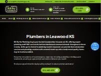 Website Screenshot Bill Fry the Plumbing Guy