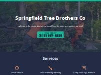 Website Screenshot Springfield Tree Brothers Co
