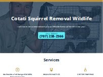 Website Screenshot Cotati Squirrel Removal Wildlife