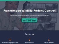Website Screenshot Runnemede Wildlife Rodent Control