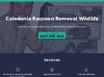 Website Screenshot Caledonia Raccoon Removal Wildlife