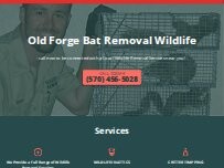 Website Screenshot Old Forge Bat Removal Wildlife